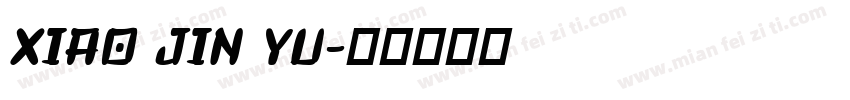 XIAO JIN YU字体转换